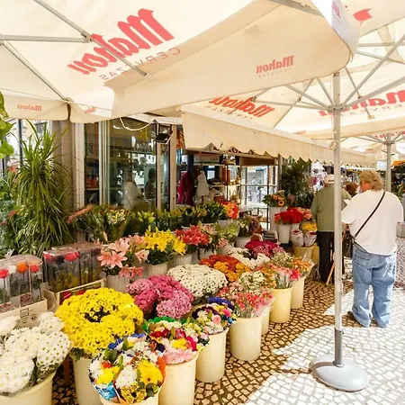 Casa Patio Del Mentidero 公寓 *