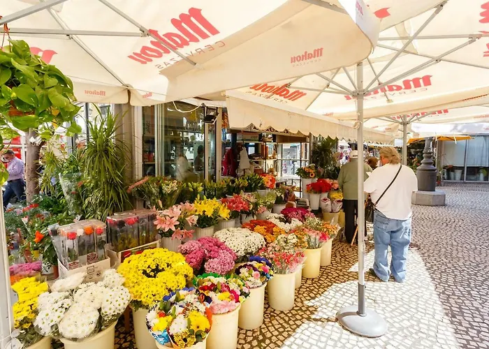 Casa Patio Del Mentidero Apartment *
